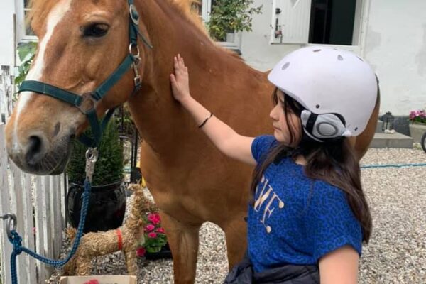 Barn der klapper en hest