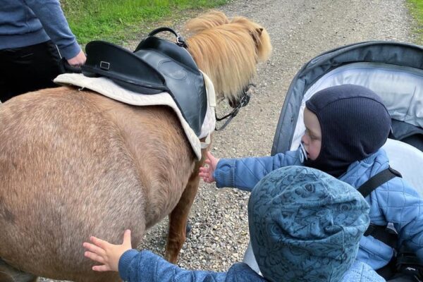 Børn der klapper en pony på ryggen